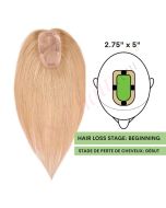 Strawberry Blonde #27  Hair Topper 14 inch For Thinning Hair Part (Size: 2.75 inch x 5 inch, Weight: 45g) Remy Human Hair 