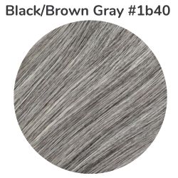 Gray 1B40